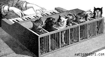 Keyboard cats! For real!