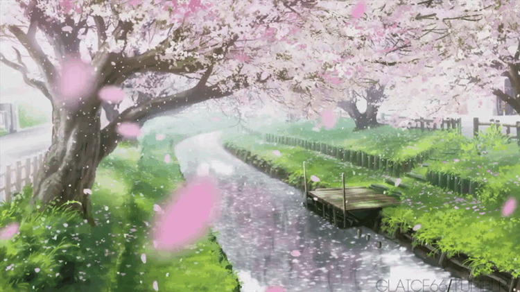 Blossom Gif - Gif Abyss