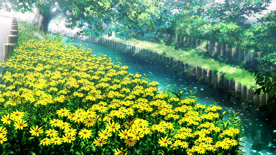 Heylin Warriors — Anime Flowers~