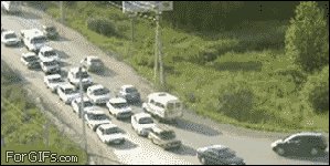 Gif ID: 1010