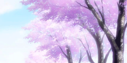 Sofie  Anime scenery Anime background Anime cherry blossom