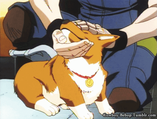 Chikuwa Yuru Camp Anime Dog Sleeping GIF  GIFDBcom