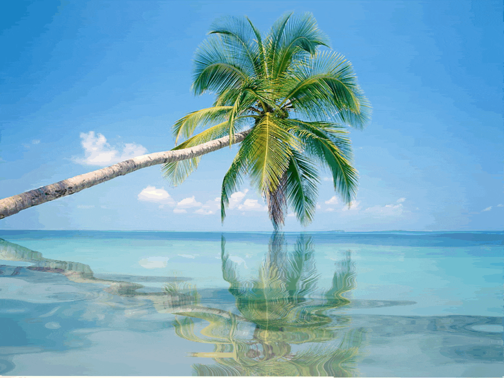 Afbeeldingsresultaat voor caribbean beach gif