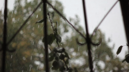 Не прекращавшийся в течение суток дождь. Дождь гиф. Сильный ветер в окно гиф. Ливень гиф. Дождь в окне гиф.