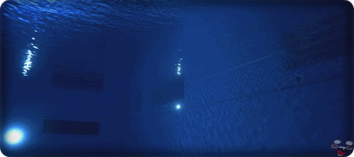 The Swimmers Gif