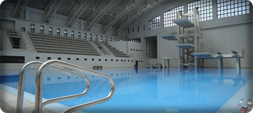 The Swimmers Gif