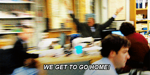 Office Rundown Gif Download Comedy The Office (US) TV Show Gif