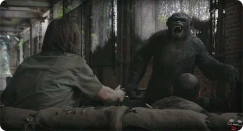 Dawn of the Planet of the Apes Gif
