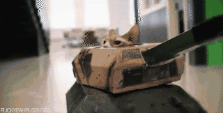 kitty tank