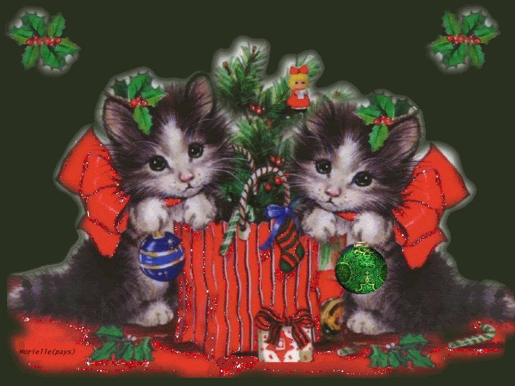Cats and christmas decoration