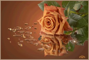 Blooming Elegance: Animated Rose in Nature’s Embrace - Gif Abyss