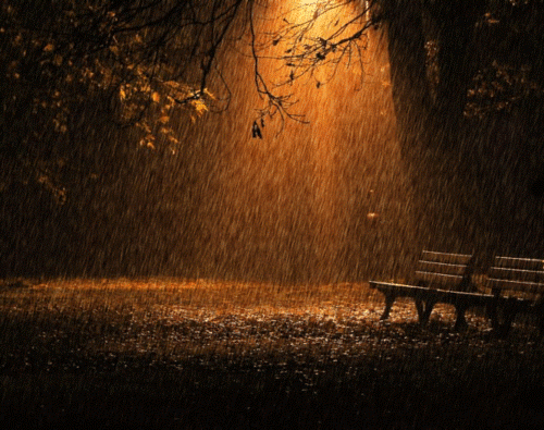 Rain in park