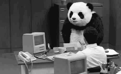 Upset panda is getting really tired of your shit - Gif Abyss
