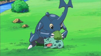 Heracross Pokémon Gifs