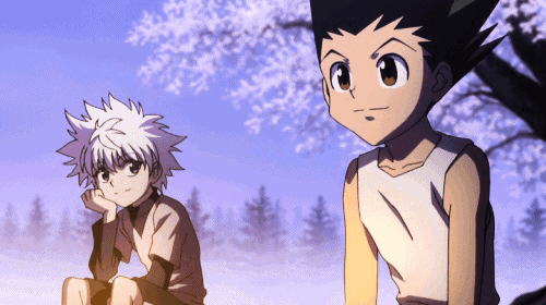Download Anime Hunter X Hunter Gif - Gif Abyss