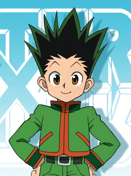 Hunter x Hunter Gif Gif Abyss