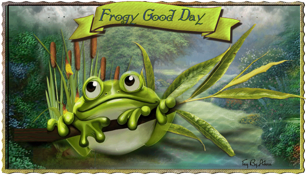 A frogy day