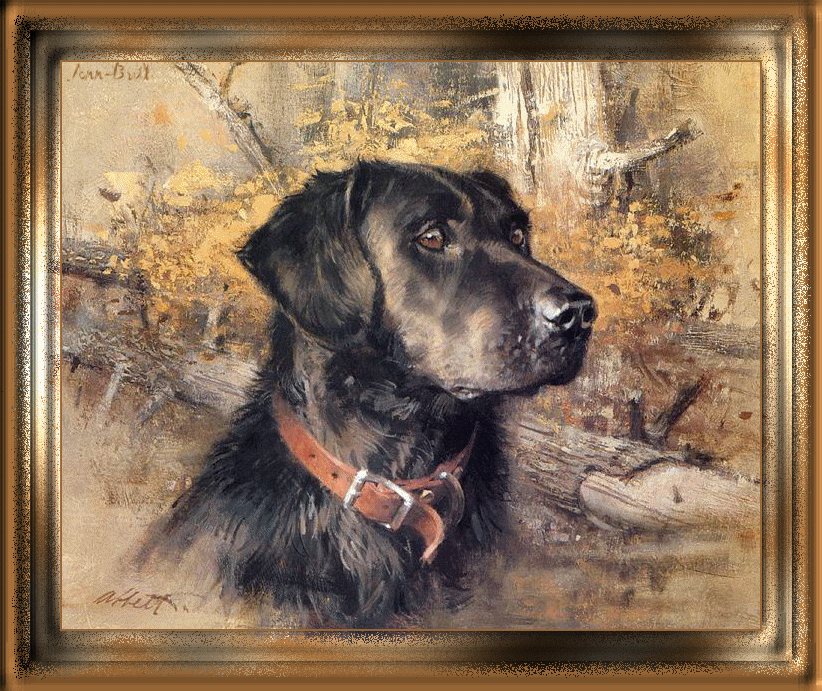 hunting dog Gif Abyss