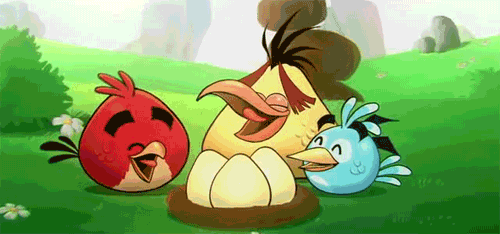 Angry Birds Gif - Gif Abyss