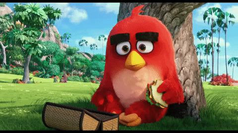 Angry Birds Gif