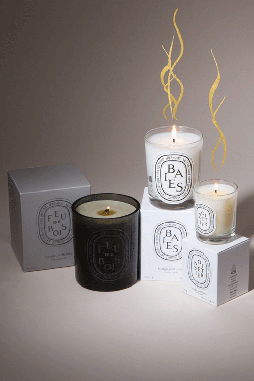 Download Flame Fire Photography Candle Gif Gif Abyss