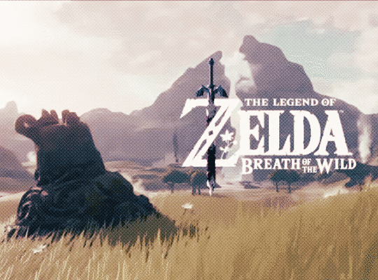 The Legend of Zelda: Breath of the Wild Gif