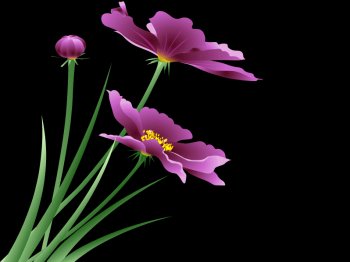 Blooming Artistic Flower Animation - Gif Abyss