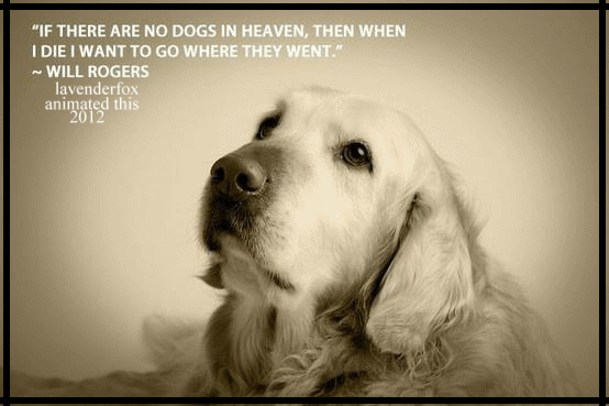 If there are no dogs in heaven, ....