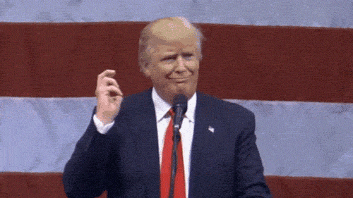 Donald Trump Gif - Gif Abyss