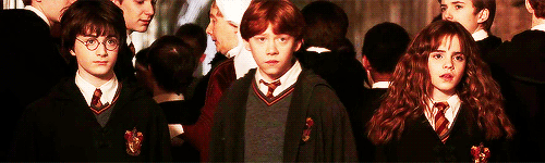 Harry Potter and the Chamber of Secrets Gif