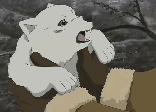 25 Amazing Wolf Gifs  Cartoon wolf Wolf photos Anime wolf