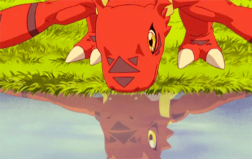 Guilmon Practices Karate