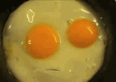 Eggs: memememememe