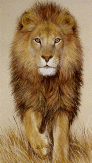 Lion Gif