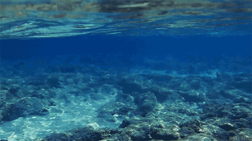 5 Underwater Gifs - Gif Abyss