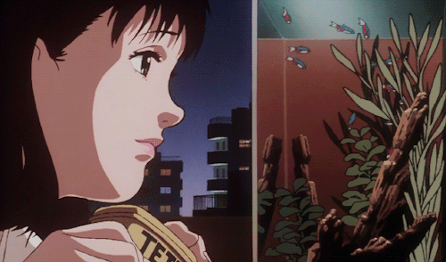 Perfect Blue Gif - Gif Abyss