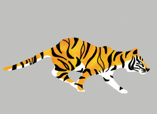 Download Animal Tiger Illustration Wildlife Predator Gif 19532