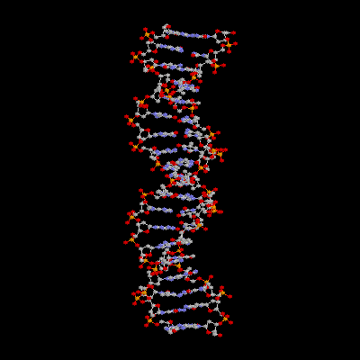 DNA Structure Gif