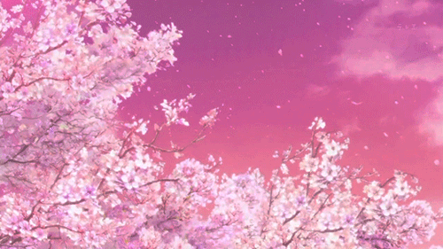 Blossom tree anime gif