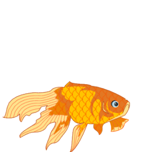 Fish Gif - Gif Abyss