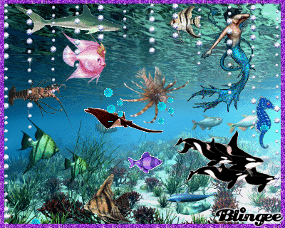 Fishious Rend Gif Download Animal Fish Gif