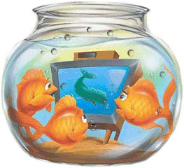 Download Animal Fish Gif - Gif Abyss