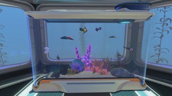 Kelp Tank GIF — Playful Aquarium Fish - Gif Abyss