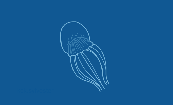 animated moving jellyfish