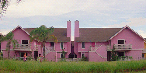 The Florida Project Gif