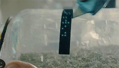 Gif ID: 205752