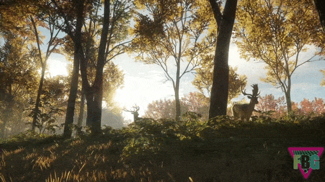 1 TheHunter: Call Of The Wild Gifs - Gif Abyss