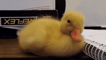 Gif ID: 207399
