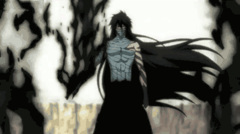 1237 Bleach Gifs Gif Abyss