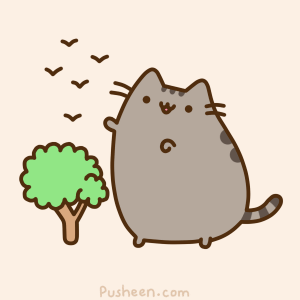 Pusheen Cat Gif